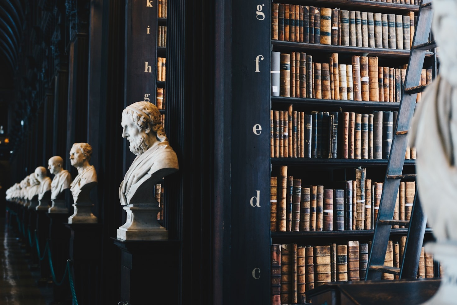 Strategie efficaci per la difesa in ambito assicurativo